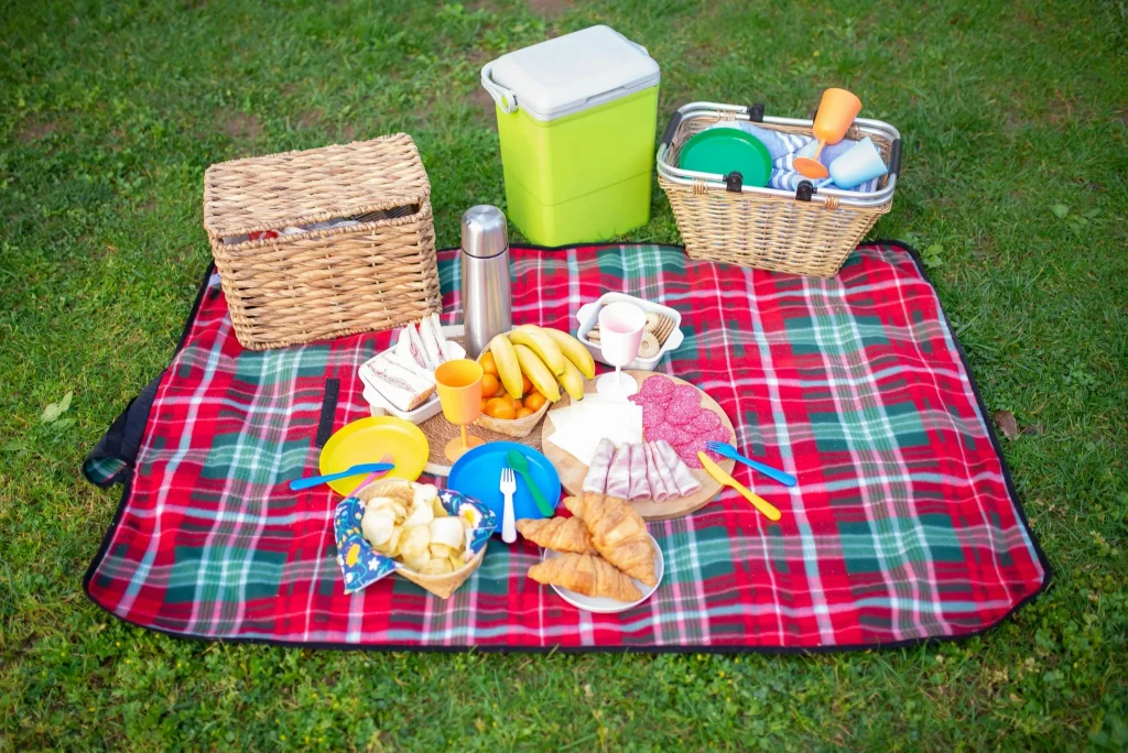 picnic blanket